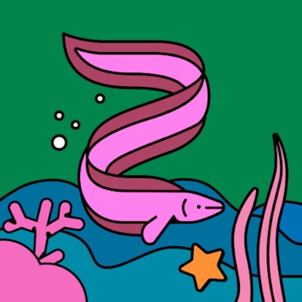 Meet your Posher, Adara